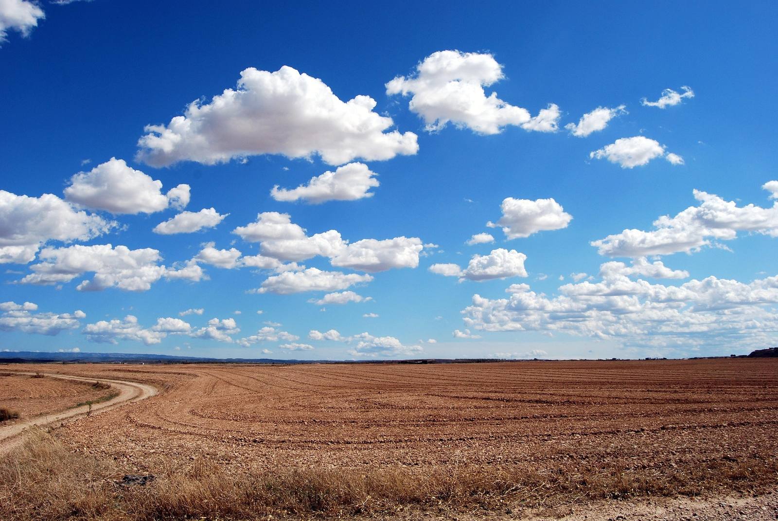 Freshly ploughed field stretching to the horizon under a wide blue sky